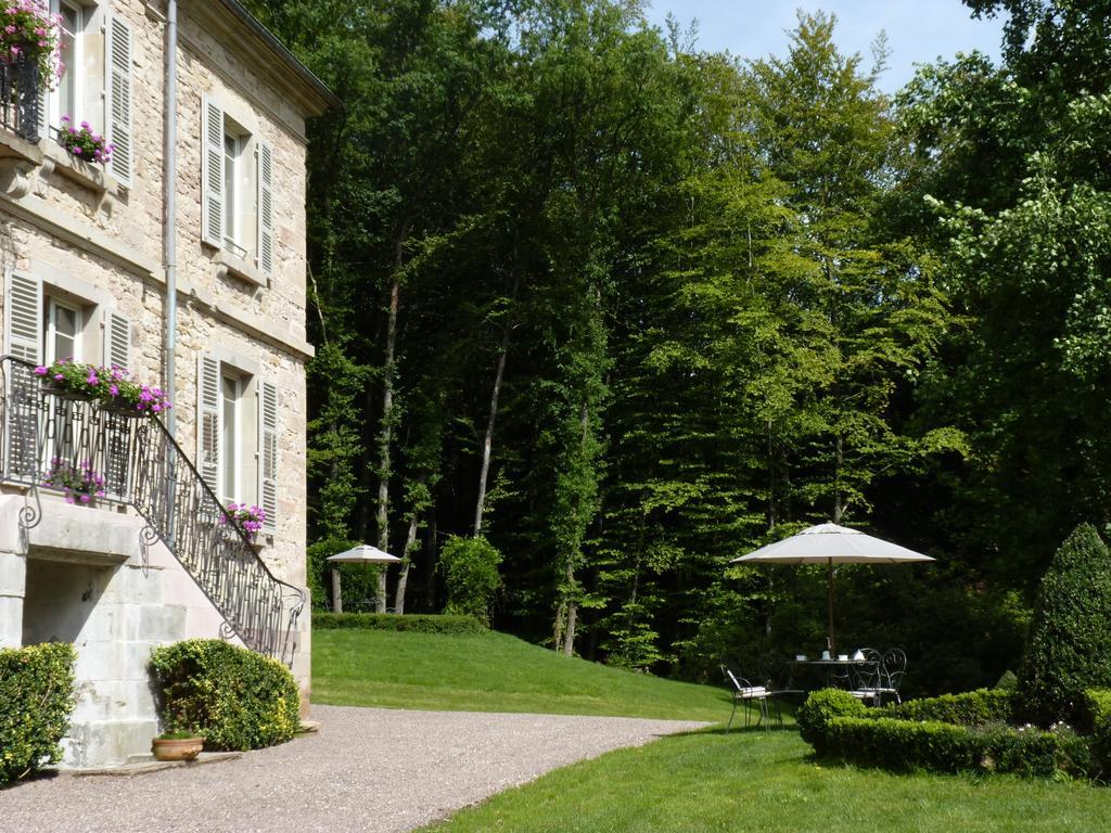 Chateau De La Houillere Bed & Breakfast Champagney Exterior photo