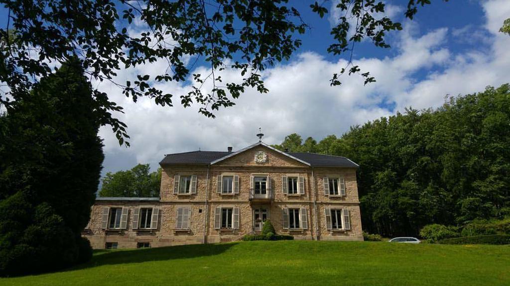 Chateau De La Houillere Bed & Breakfast Champagney Exterior photo